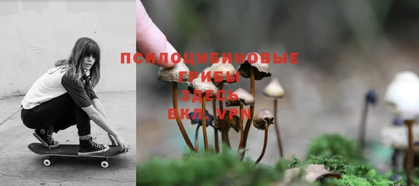 гашик Новосибирск