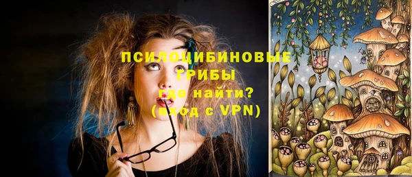 гашик Санкт-Петербург