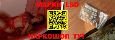 индика Аргун