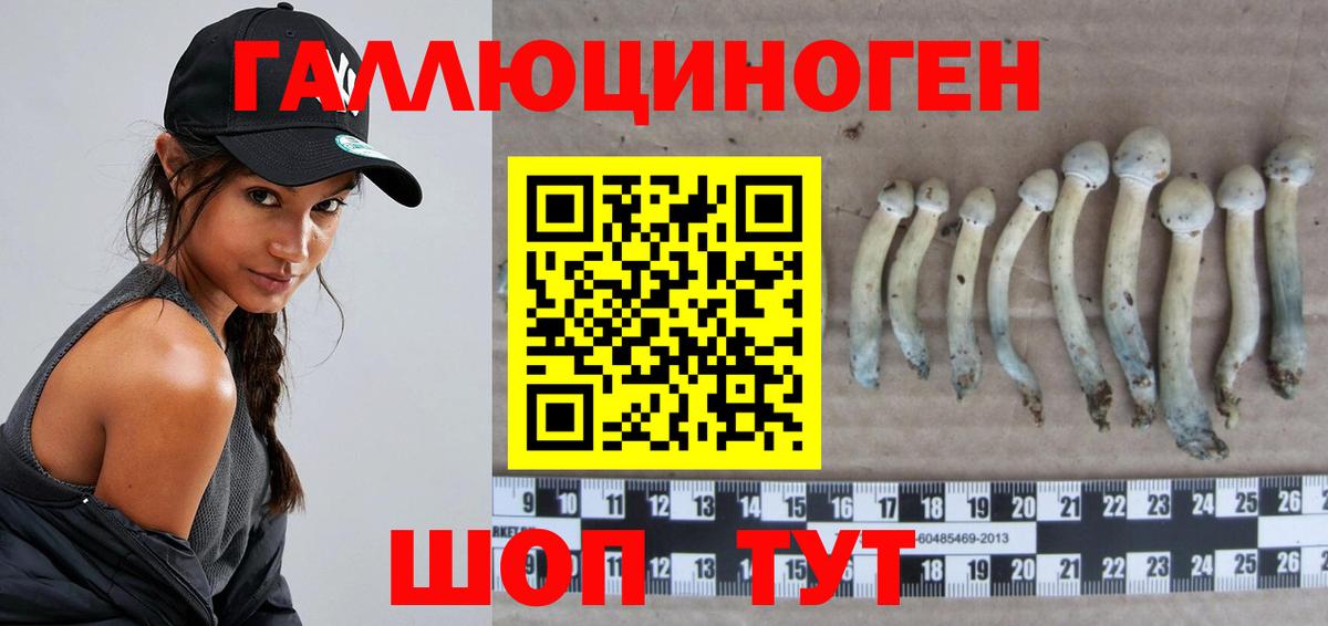Галлюциногенные грибы ЛСД  Бахчисарай 