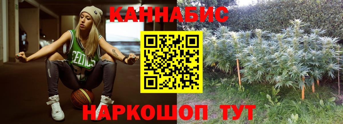 Бошки Шишки индика  МАРИХУАНА план  Бахчисарай  Бошки марихуана THC 21%  Марихуана Ganja 